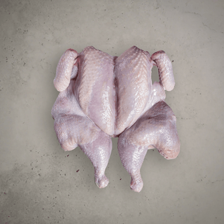 Spatchcock - Size 5 (500g)