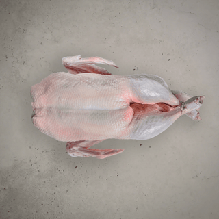Whole Duck - Size 18